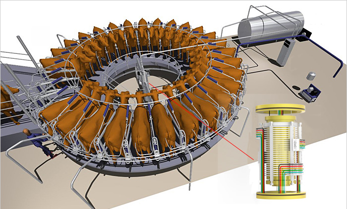 ���D(zhu��n)ʽ��ţ��