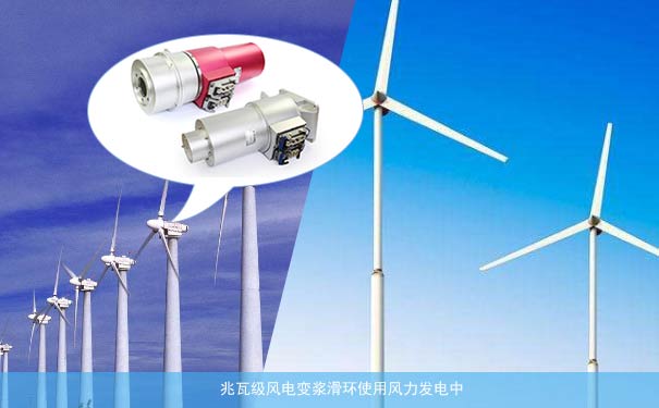 觸點(diǎn)滑環(huán)